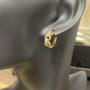 Link Hoop Earrings	/ Enlace Aro Aretes